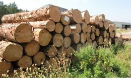 青森ひばの香りで安らぐ寝室に