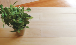 防カビ・抗菌・殺菌効果で清潔が保たれる