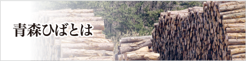 青森ひばとは