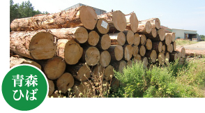 青森ひば
